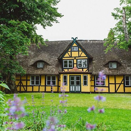 Herrenhaus Gut Dorotheenthal Damp Exterior foto